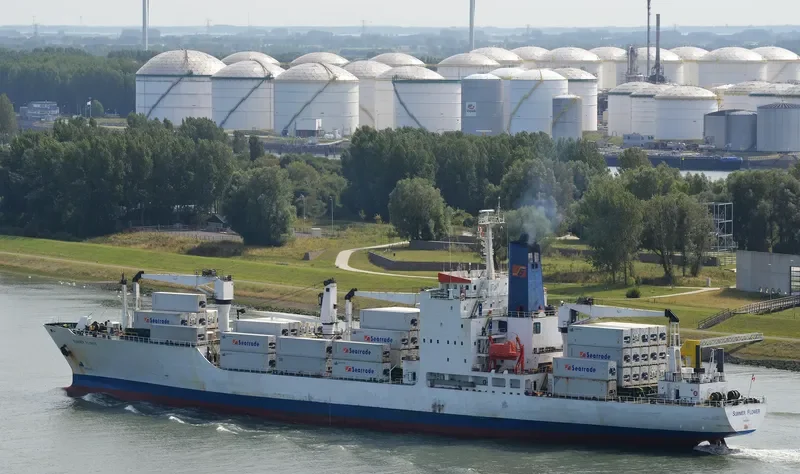 SUMMER FLOWER General Cargo IMO 8413019 photo 2