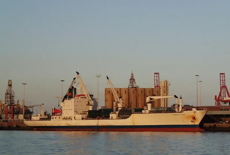 SUMMER FLOWER General Cargo IMO 8413019 photo 3