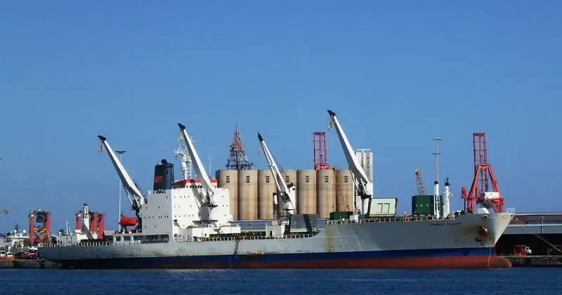SUMMER FLOWER General Cargo IMO 8413019 photo 4