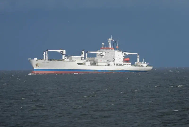 SUMMER FLOWER General Cargo IMO 8413019 photo 5