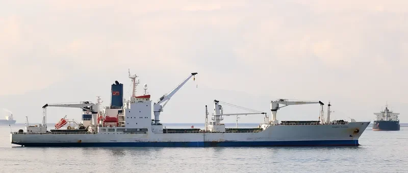 SUMMER FLOWER General Cargo IMO 8413019 photo 6