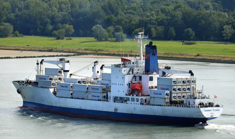 SUMMER FLOWER General Cargo IMO 8413019 photo 8