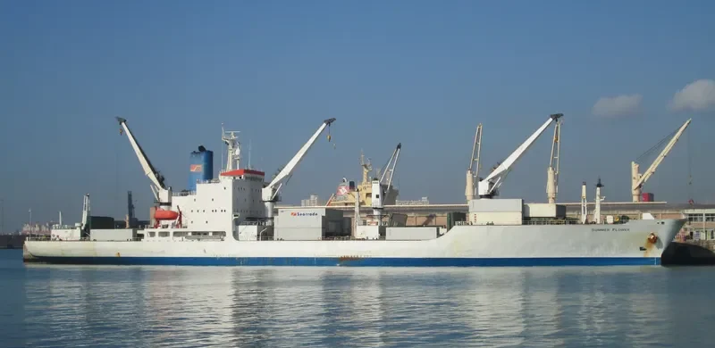 SUMMER FLOWER General Cargo IMO 8413019 photo 10