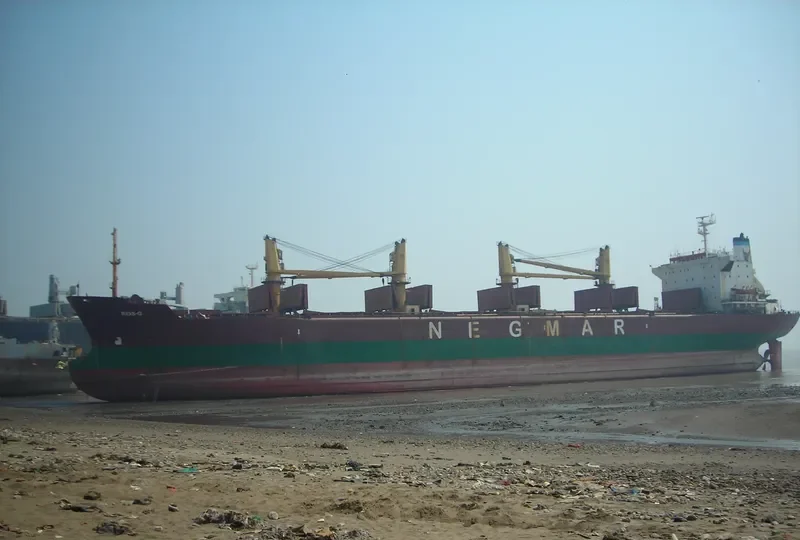REIS G Bulk Carrier IMO 8413186