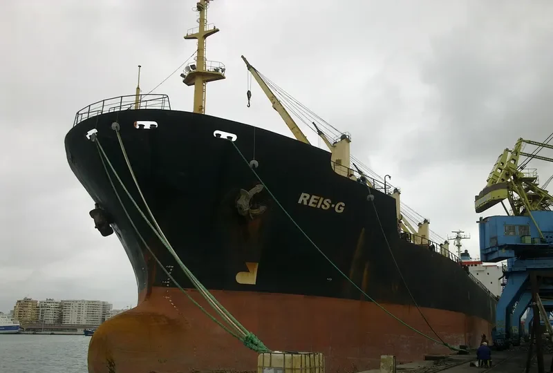 REIS G Bulk Carrier IMO 8413186 photo 2