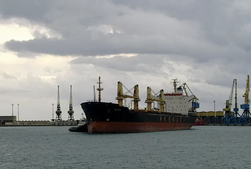 REIS G Bulk Carrier IMO 8413186 photo 3