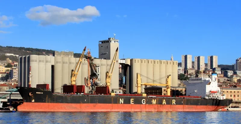 REIS G Bulk Carrier IMO 8413186 photo 4