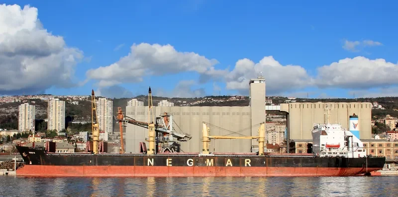 REIS G Bulk Carrier IMO 8413186 photo 5
