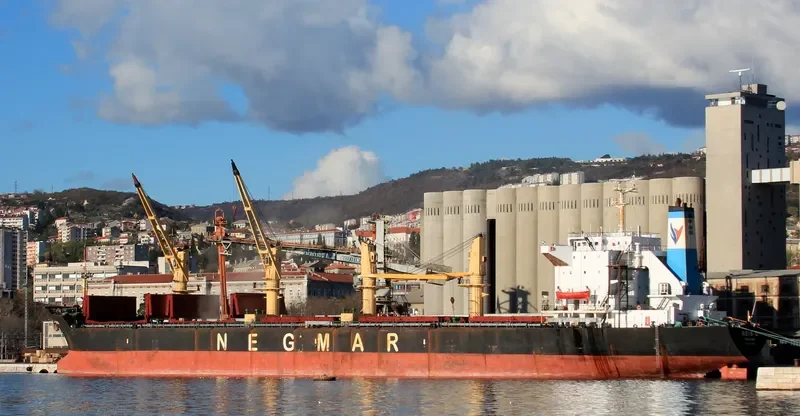 REIS G Bulk Carrier IMO 8413186 photo 6