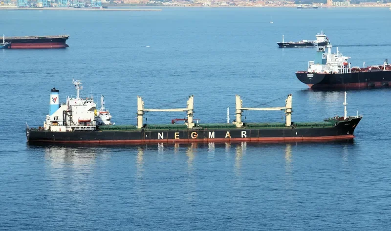 REIS G Bulk Carrier IMO 8413186 photo 7