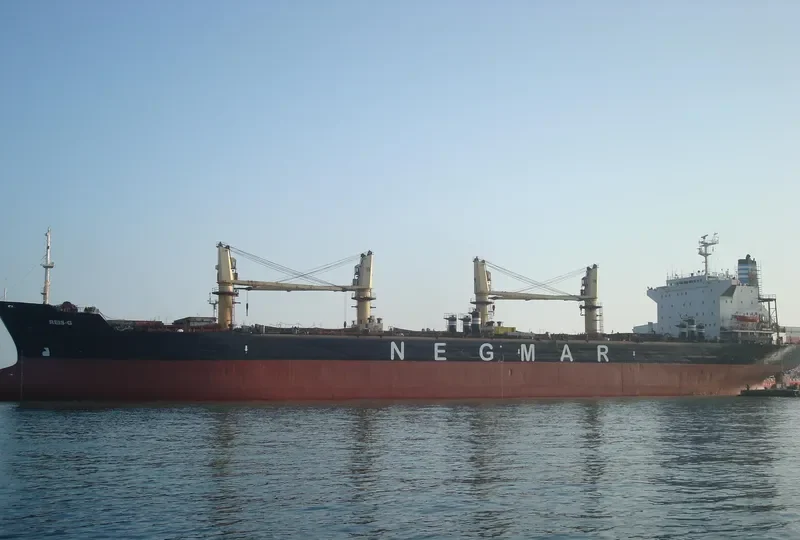 REIS G Bulk Carrier IMO 8413186 photo 8
