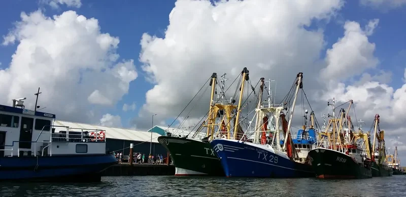 HELENA ELIZABETH General Cargo IMO 8413772 photo 3