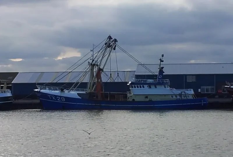 HELENA ELIZABETH General Cargo IMO 8413772 photo 4