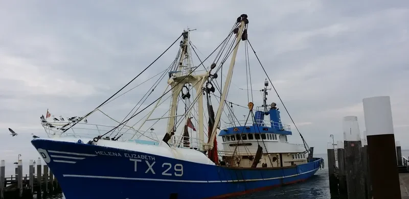 HELENA ELIZABETH General Cargo IMO 8413772 photo 5