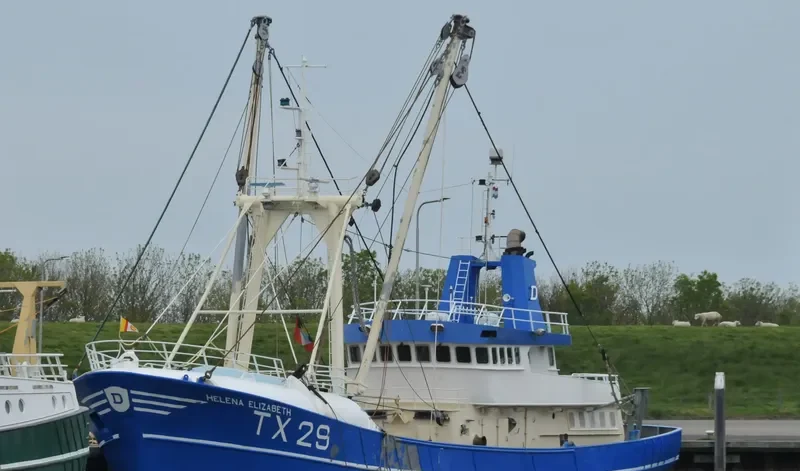 HELENA ELIZABETH General Cargo IMO 8413772 photo 8