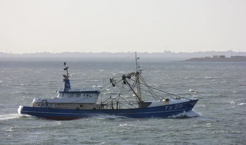 HELENA ELIZABETH General Cargo IMO 8413772 photo 9