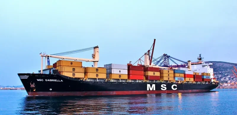MSC GABRIELLA Container Ship IMO 8413875 photo 2