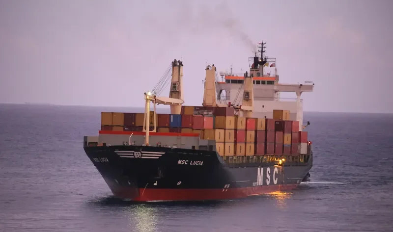 MSC LUCIA Container Ship IMO 8413887 photo 8