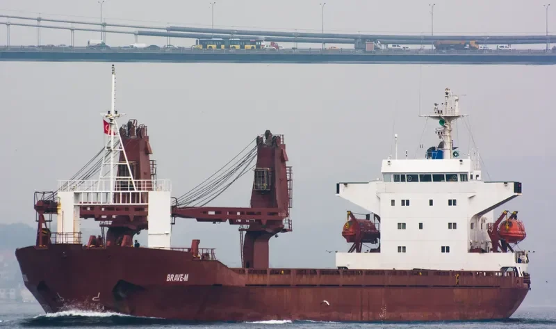 BRAVE M General Cargo IMO 8414764 photo 8