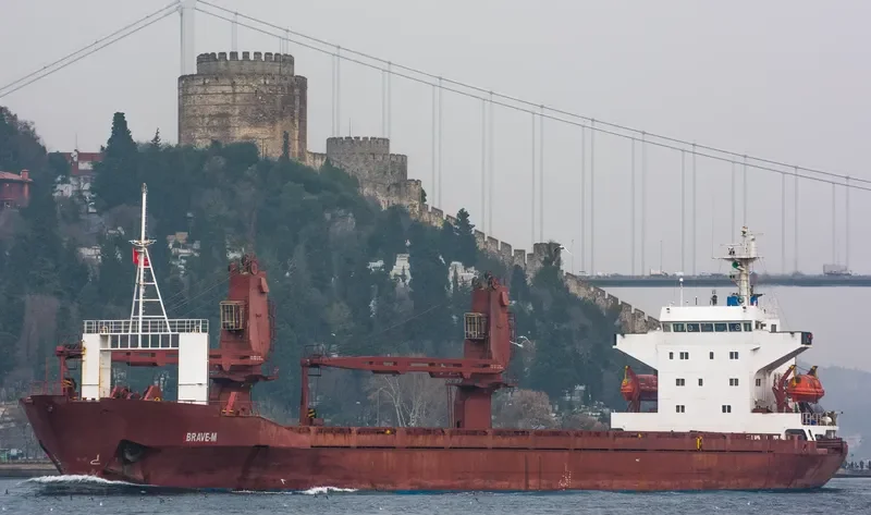 BRAVE M General Cargo IMO 8414764 photo 9