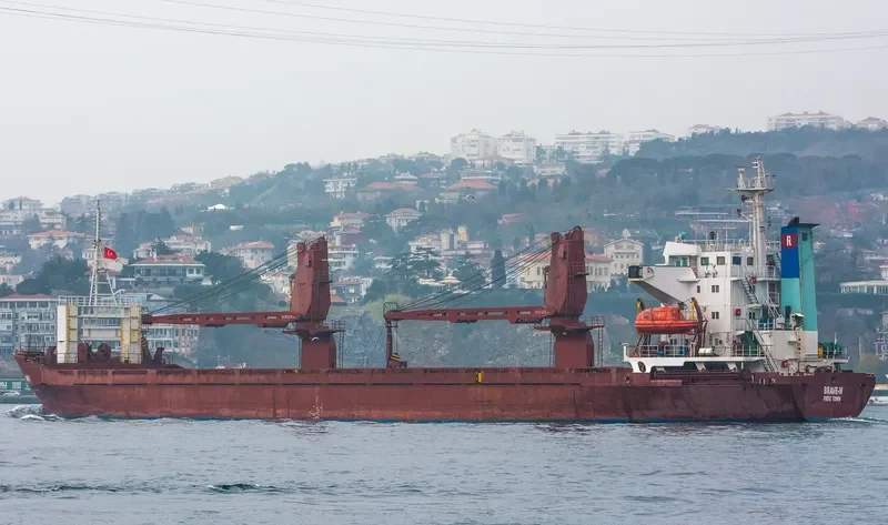 BRAVE M General Cargo IMO 8414764 photo 10