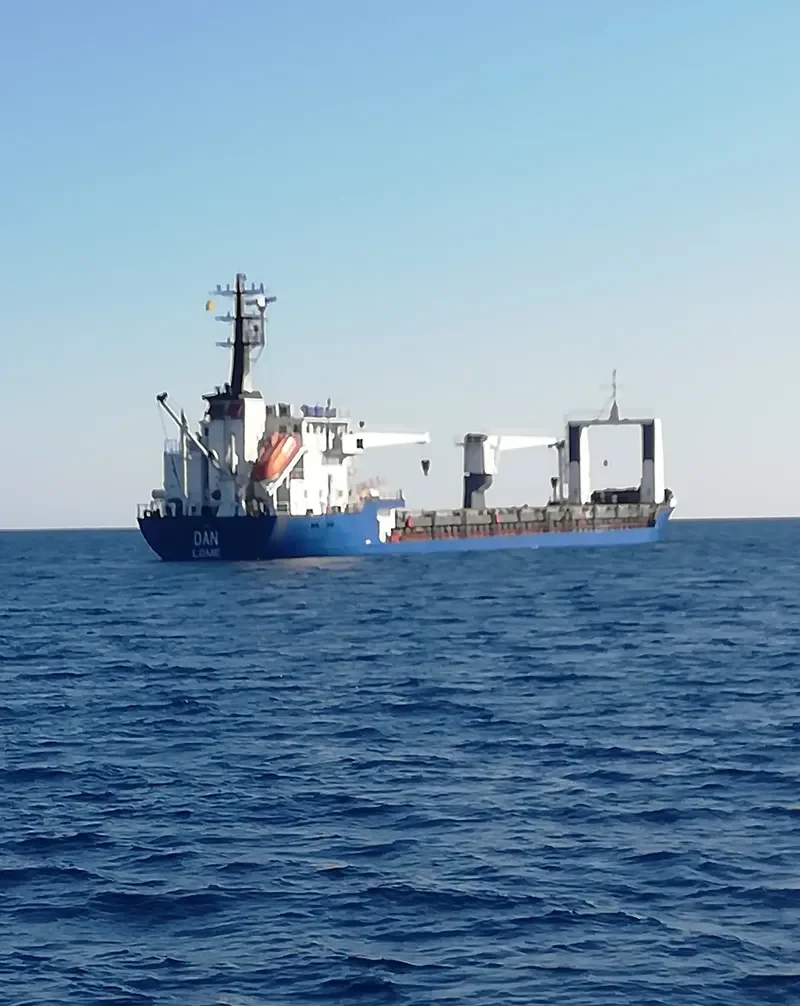 DAN General Cargo IMO 8415160 photo 6
