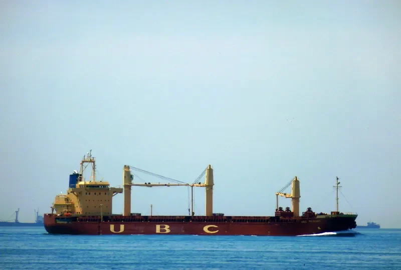 VOLOS Container Ship IMO 8415641 photo 3
