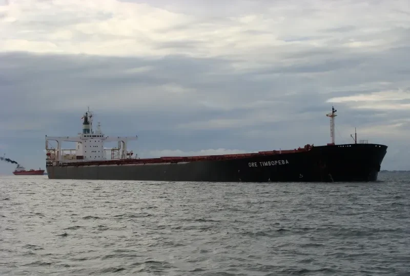 ORE TIMBOPEBA Bulk Carrier IMO 8415964 photo 3