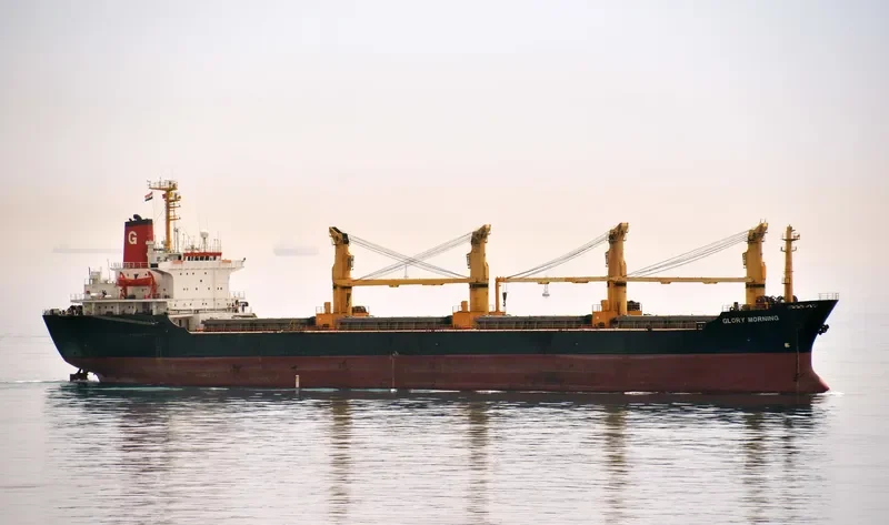 GLORY MORNING Bulk Carrier IMO 8416164 photo 2
