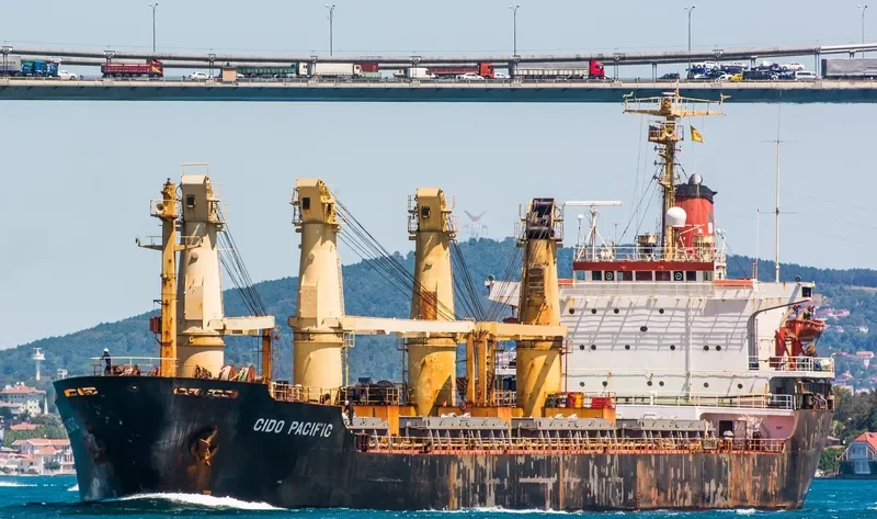 GLORY MORNING Bulk Carrier IMO 8416164 photo 3