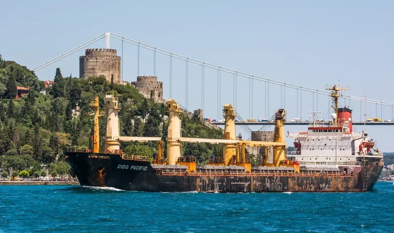 GLORY MORNING Bulk Carrier IMO 8416164 photo 4