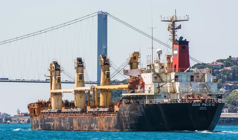 GLORY MORNING Bulk Carrier IMO 8416164 photo 5