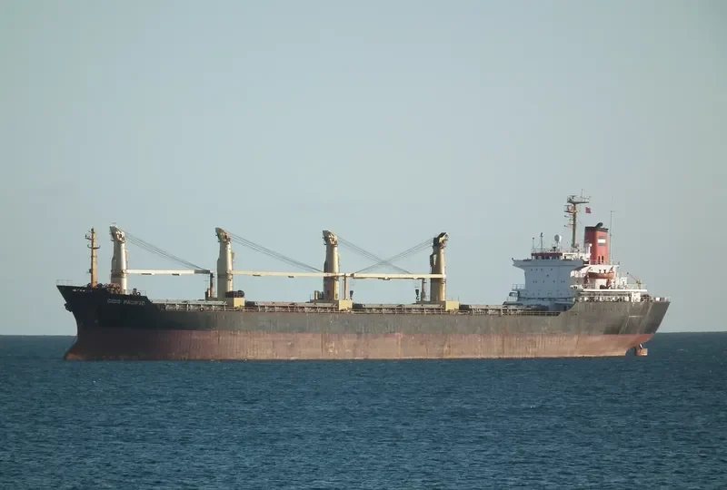 GLORY MORNING Bulk Carrier IMO 8416164 photo 6