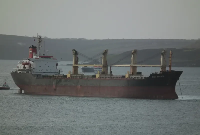 GLORY MORNING Bulk Carrier IMO 8416164 photo 7