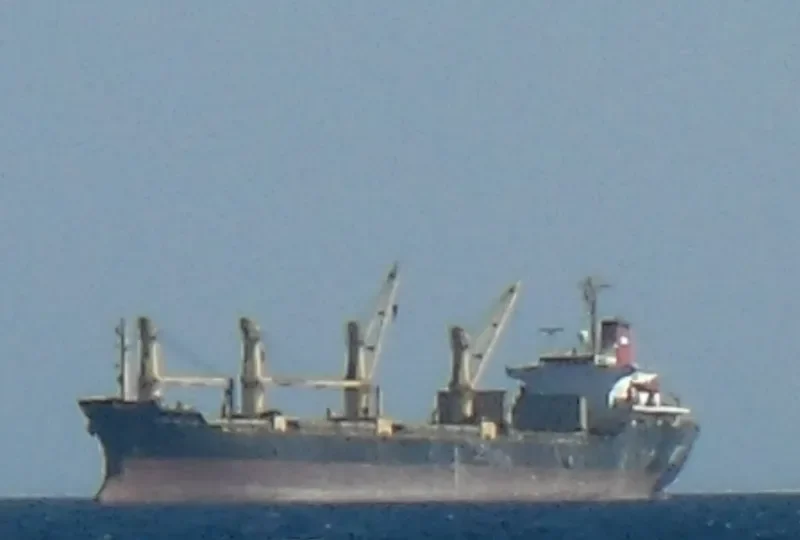 GLORY MORNING Bulk Carrier IMO 8416164 photo 8