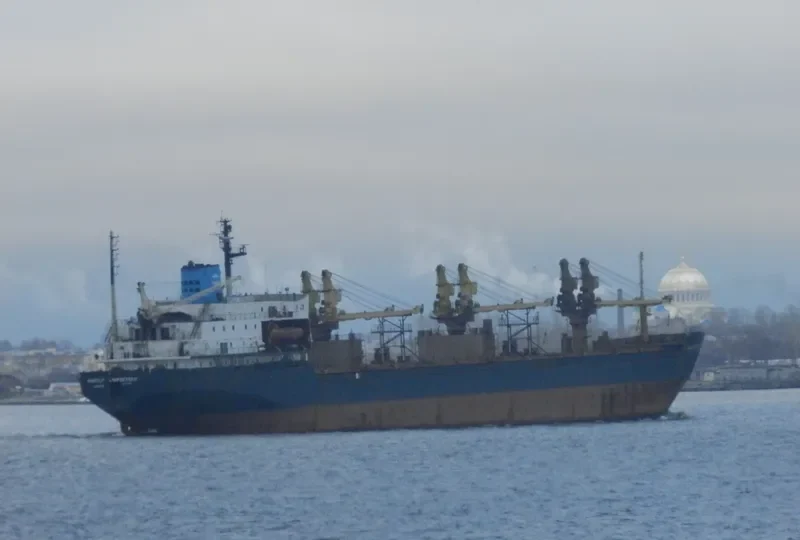 ANATOLIY LYAPIDEVSKIY Bulk Carrier IMO 8416554 photo 3