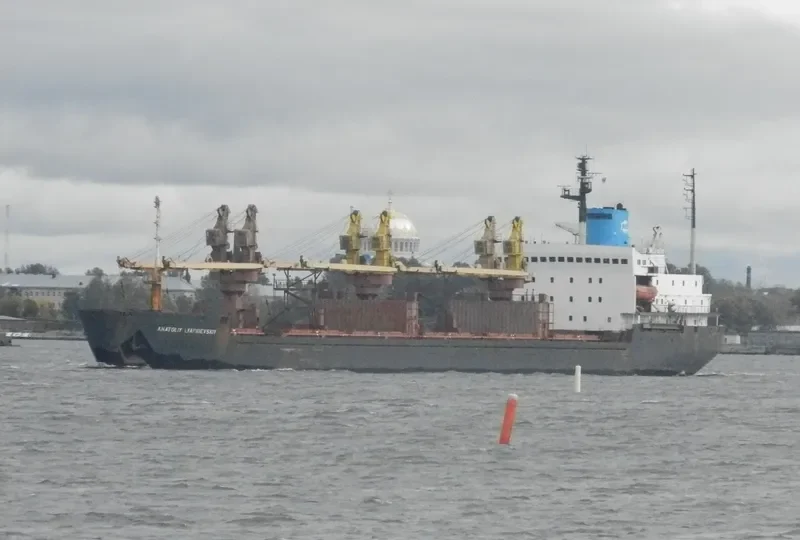 ANATOLIY LYAPIDEVSKIY Bulk Carrier IMO 8416554 photo 5