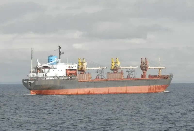 ANATOLIY LYAPIDEVSKIY Bulk Carrier IMO 8416554 photo 6