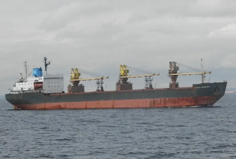 ANATOLIY LYAPIDEVSKIY Bulk Carrier IMO 8416554 photo 7