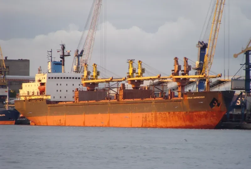 ANATOLIY LYAPIDEVSKIY Bulk Carrier IMO 8416554 photo 8