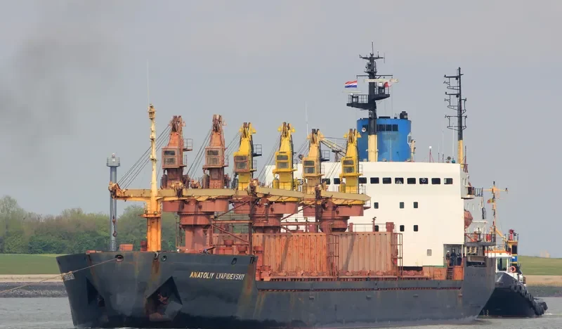 ANATOLIY LYAPIDEVSKIY Bulk Carrier IMO 8416554 photo 10