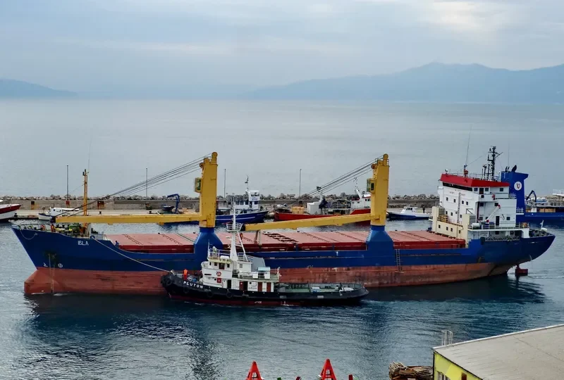 IBLA General Cargo IMO 8416748 photo 9