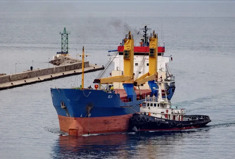 IBLA General Cargo IMO 8416748 photo 10