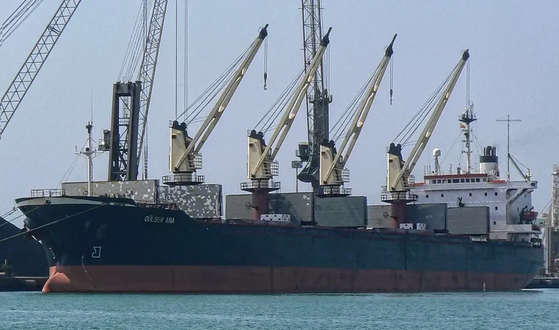 GULSER ANA Bulk Carrier IMO 8418289