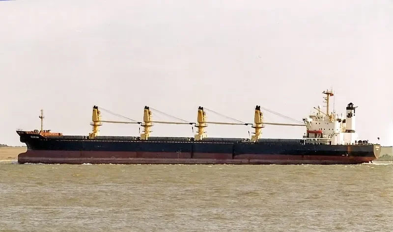 GULSER ANA Bulk Carrier IMO 8418289 photo 2