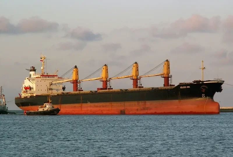 GULSER ANA Bulk Carrier IMO 8418289 photo 3