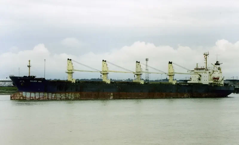 GULSER ANA Bulk Carrier IMO 8418289 photo 4