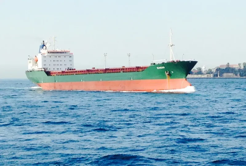 KANUNI Bulk Carrier IMO 8418734 photo 4
