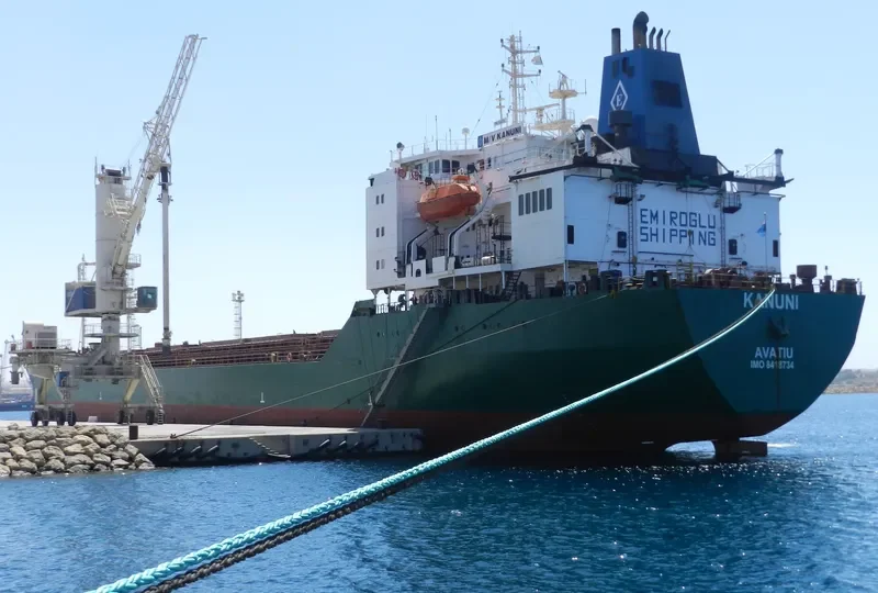 KANUNI Bulk Carrier IMO 8418734 photo 6