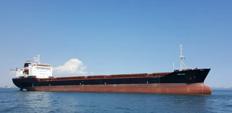 MARYLAND Bulk Carrier IMO 8418758 photo 6